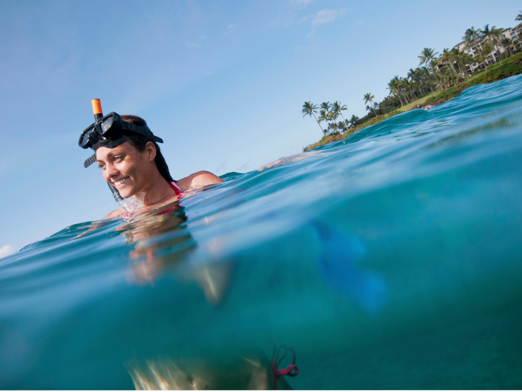Snorkeling & Swimming